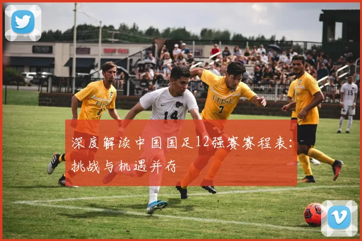 深度解读中国国足12强赛赛程表：挑战与机遇并存