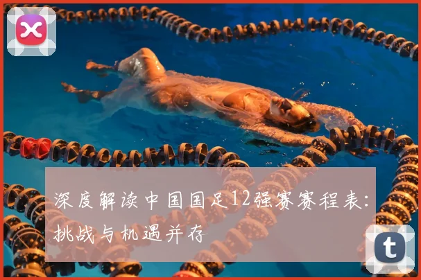 深度解读中国国足12强赛赛程表：挑战与机遇并存