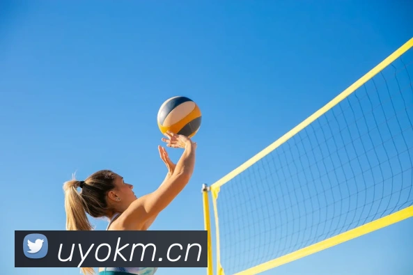 从二轮秀到全明星：2006年NBA选秀中那些逆袭的球员故事